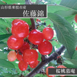 さくらんぼ 【桜桃慕庵】 佐藤錦 1kg 贈答用 L以上 山形 東根市 《6/中旬～6/下旬の出荷》