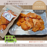 柿 ドライフルーツ 【フルーツファームいしくら】広瀬の柿　富裕柿のドライフルーツ　1袋50ｇ×5個　ポスト投函 山梨県笛吹市
