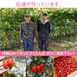 さくらんぼ 【桜桃慕庵】 佐藤錦 1kg M以上 山形県 東根市  《6/中旬～6/下旬の出荷》