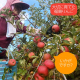 りんご 【長田果樹園 】サンふじ 小玉 ミニ 訳あり 家庭用 10kg 46個以上 福島県石川町 リンゴ 林檎 小さい 10キロ １０ｋｇ さんふじ フジ《12/中旬～12/下旬より出荷》