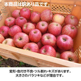 りんご 【長田果樹園 】サンふじ 小玉 ミニ 訳あり 家庭用 10kg 46個以上 福島県石川町 リンゴ 林檎 小さい 10キロ １０ｋｇ さんふじ フジ《12/中旬～12/下旬より出荷》