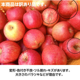 りんご 【長田果樹園 】サンふじ 小玉 ミニ 訳あり 家庭用 10kg 46個以上 福島県石川町 リンゴ 林檎 小さい 10キロ １０ｋｇ さんふじ フジ《12/中旬～12/下旬より出荷》
