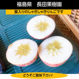 【長田果樹園】りんご サンふじ　約10kg 　中玉36個 　赤秀　家庭用　福島県石川町