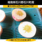 りんご 【長田果樹園 】サンふじ 小玉 ミニ 訳あり 家庭用 10kg 46個以上 福島県石川町 リンゴ 林檎 小さい 10キロ １０ｋｇ さんふじ フジ《12/中旬～12/下旬より出荷》