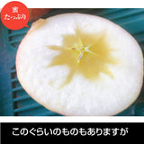 【長田果樹園】りんご サンふじ　約10kg 　小玉40個 　赤秀　家庭用　福島県石川町