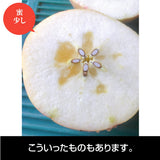 【長田果樹園】りんご サンふじ　約10kg 　小玉40個 　赤秀　家庭用　福島県石川町
