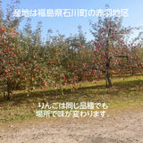 りんご 【長田果樹園 】サンふじ 小玉 ミニ 訳あり 家庭用 10kg 46個以上 福島県石川町 リンゴ 林檎 小さい 10キロ １０ｋｇ さんふじ フジ《12/中旬～12/下旬より出荷》