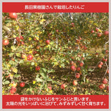 【長田果樹園】りんご サンふじ　約10kg 　中玉36個 　特秀　贈答用・ギフト用　福島県石川町