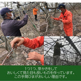 さくらんぼ 【鈴木農園】 佐藤錦 1kg L～２L 贈答 山形県東根市 《6/中旬～6/下旬の出荷》