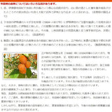 干し柿 【市田屋】 市田柿 L 1kg 約40粒 ご家庭用 長野県 高森町  干柿 ころ柿 枯露柿《12/15頃～下旬より出荷》