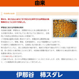 干し柿 【市田屋】 市田柿 ３L 500g 12個 贈答用 化粧箱 長野県 高森町  《12/15頃～下旬より出荷》