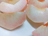 桃 【種まきうさぎ】硬い おどろき 2kg（5～7個） 福島県伊達市 《8/10～8/20の出荷》