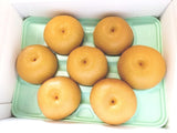 梨 【グリーンファーム】 萱場梨 ３kg  Lサイズ以上　６~8玉 贈答用 福島県 福島市 和梨 《8/下旬～9/上旬より出荷》