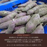 干し芋 【GOVタカノ】 干芋 平干し 3kg 家庭用 茨城県 《1/上旬～中旬より出荷》