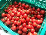 中玉トマト　約1.8ｋｇ(450ｇ×４袋）　福島県白河市