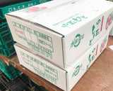 中玉トマト　約1.8ｋｇ(450ｇ×４袋）　福島県白河市