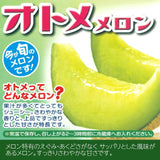 メロン 【OTM出荷組合】 メロン オトメメロン 2玉 2L 糖度15度以上 贈答用 母の日 茨城県鉾田市 茨城町 《4/下旬～5/上旬より出荷》