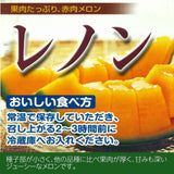 メロン 【OTM出荷組合】 レノン 2L 2玉 糖度15度以上 贈答用 茨城県鉾田市 《5/中旬～5/下旬より出荷》
