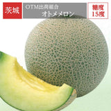 メロン 【OTM出荷組合】 メロン オトメメロン 2玉 2L 糖度15度以上 贈答用 母の日 茨城県鉾田市 茨城町 《4/下旬～5/上旬より出荷》