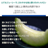 メロン 【OTM出荷組合】 メロン オトメメロン 2玉 2L 糖度15度以上 贈答用 母の日 茨城県鉾田市 茨城町 《4/下旬～5/上旬より出荷》