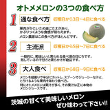 メロン 【OTM出荷組合】 メロン オトメメロン 2玉 2L 糖度15度以上 贈答用 母の日 茨城県鉾田市 茨城町 《4/下旬～5/上旬より出荷》
