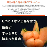 メロン 【OTM出荷組合】 レノン 2L 2玉 糖度15度以上 贈答用 茨城県鉾田市 《5/中旬～5/下旬より出荷》