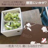 ぶどう 【ﾌﾙｰﾂﾌｧｰﾑいしくら】 葡萄 シャインマスカット 2房 大房 1.3kg 高糖度 山梨県 贈答用化粧箱《8/10日頃～8/中旬より出荷》