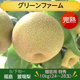 梨 【グリーンファーム】 萱場梨 10kg　Lサイズ以上　24～28玉 贈答用 福島県 福島市 和梨 《8/下旬～9/上旬より出荷》