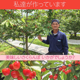 さくらんぼ 【有我果樹園】 佐藤錦 紅秀峰 紅てまり どれか1品種 1kg L 福島県須賀川市 贈答用 《6/中旬～6/下旬の出荷》