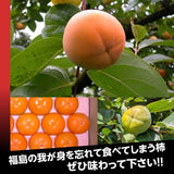 柿 【会津遠藤農園】みしらず柿 御山柿 3.5kg 5L以上9個 特秀 高級 桐箱 贈答用 お歳暮 御歳暮 福島県会津 《11/下旬～12/中旬出荷》