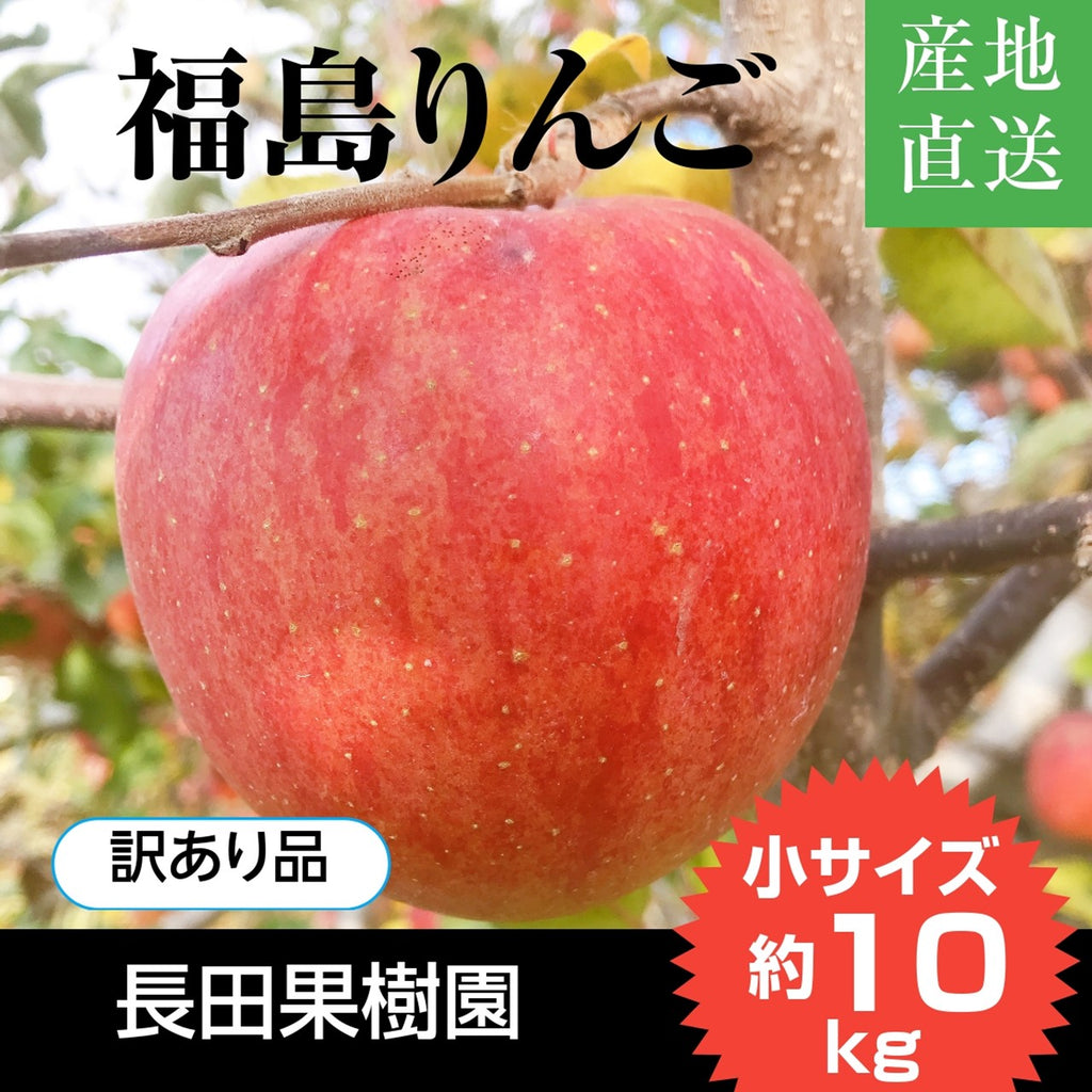 りんご 【長田果樹園 】サンふじ 小玉 ミニ 訳あり 家庭用 10kg 46個以上 福島県石川町 リンゴ 林檎 小さい 10キロ １０ｋｇ さんふじ フジ《12/中旬～12/下旬より出荷》