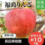 りんご 【長田果樹園 】サンふじ 小玉 ミニ 訳あり 家庭用 10kg 46個以上 福島県石川町 リンゴ 林檎 小さい 10キロ １０ｋｇ さんふじ フジ《12/中旬～12/下旬より出荷》