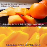 柿 【遠藤みしらず柿園】 みしらず柿 （ 身不知柿 ） 5kg 3L 17～19個 福島県会津 《11/末～12/上旬より出荷》