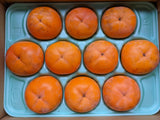 柿 【遠藤みしらず柿園】 みしらず柿 （ 身不知柿 ） 2.5kg 2L 10個 福島県会津 《11/末～12/上旬より出荷》