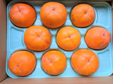 柿 【遠藤みしらず柿園】 みしらず柿 （ 身不知柿 ） 2.5kg 3L 9個 福島県会津 《11/末～12/上旬より出荷》