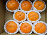 柿 【遠藤みしらず柿園】 みしらず柿 （ 身不知柿 ） 2.5kg 4L 8個 福島県会津 《11/中～11/下旬より出荷》