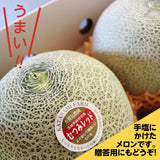 メロン 【方波見農園】 むつみレッド イバラキング クインシー タカミ タカミレッド どれか1種 5kg 3～6玉 糖度16度以上 贈答用 母の日 父の日 茨城県鉾田市 《5/上旬～5/中旬より出荷》