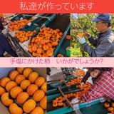 柿 【遠藤みしらず柿園】 みしらず柿 （ 身不知柿 ） 2.5kg 3L 9個 福島県会津 《11/末～12/上旬より出荷》