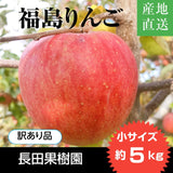 【長田果樹園】りんご　サンふじ　小さいサイズ 約5kg  訳あり品・家庭用　福島県