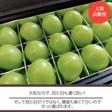 ぶどう 【ﾌﾙｰﾂﾌｧｰﾑいしくら】 葡萄 宝石箱 シャインマスカット 18粒 大粒 高糖度 山梨県 贈答プレゼント《8/10日頃～8/中旬からの出荷》