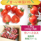 中玉トマト　約1.8ｋｇ(450ｇ×４袋）　福島県白河市
