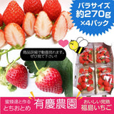 いちご 【有慶農園】 とちおとめ  250ｇ×４パック 福島県須賀川 苺 イチゴ