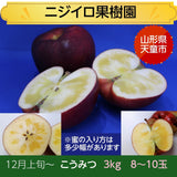 りんご 【ニジイロ果樹園】蜜入 こうみつ 3kg 8～10個 山形県天童市 リンゴ 林檎 《12/7頃～12/中旬の出荷》