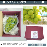 ぶどう 【伊藤農園】 葡萄 シャインマスカット 1房 秀 約700g 化粧箱 贈答用 山形県  ≪9/中旬～9/下旬より出荷》 フルーツ 果物