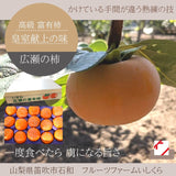 柿 甘柿 【フルーツファームいしくら】 富有柿 皇室献上の味 広瀬の柿 7.5kg ３L 24個 贈答用 山梨県笛吹市 種なし かき《10/下旬～11/上旬の出荷》