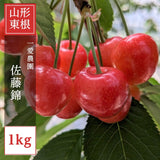 さくらんぼ 【一愛農園】 佐藤錦 1kg 秀 ２L  山形県東根市《6/中旬～6/下旬の出荷》