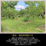 桃 【有我果樹園】 もも 品種色々 2kg 6～8玉 贈答用  福島県 須賀川市  プレゼント 《7/下旬～8/上旬から出荷》