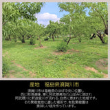 桃 【有我果樹園】 もも 品種色々 ミックス 5kg 12～16玉 贈答用  福島県 須賀川市  プレゼント 予約 《7/下旬～8/上旬から出荷》