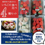 いちご 【小野崎農園】ミルキーベリー とちあいか やよいひめ スカイベリー(とちおとめ) 4種のわくわく イチゴ 食べ比べセット 栃木県 贈答 苺