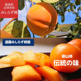 柿 【遠藤みしらず柿園】 みしらず柿 （ 身不知柿 ） 2.5kg 2L 10個 福島県会津 《11/末～12/上旬より出荷》